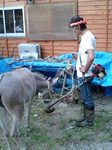060819_1812~0001.jpg