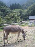 060921_1401~0001.jpg