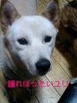 060929_2259~0001-0001.jpg