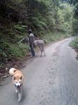 061020_1241~0002.jpg