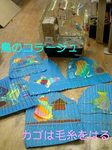 061110_1708~0001-0001.jpg