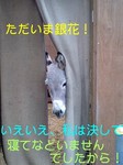 061128_1341~0001-0001.jpg