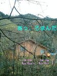061127_1209~0001-0001-0001.jpg