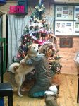 061203_2200~0001-0001.jpg