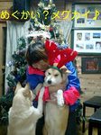 061204_2120~0001-0001.jpg