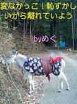 061206_1046~0001-0001.jpg
