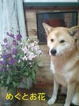 061230_1306~0001-0001.jpg
