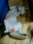 070112_2130~0002-0001.jpg