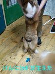 070113_1757~0001-0001.jpg