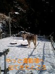 070122_1050~0001-0001.jpg
