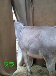 070217_1650~0001-0001.jpg