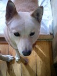 070130_1218~0001.jpg