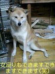 070226_2256~0001-0001-0001.jpg