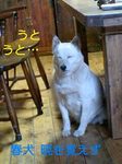 070326_1630~0001-0001-0001.jpg