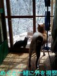 070328_1034~0001-0001.jpg