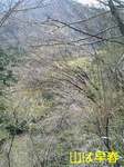 070406_1210~0001-0001.jpg