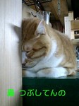 070225_1925~0002-0001.jpg