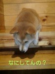 070403_2050~0001-0002.jpg