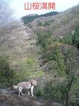 070422_1452~0001-0001.jpg