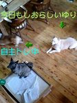 070511_1036~0001-0001.jpg