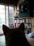 070522_1159~0001.jpg