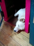 070529_1215~0001.jpg