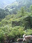 070607_1057~0001.jpg