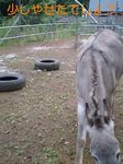 070610_1711~0001-0001.jpg