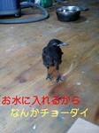 070612_1240~0001-0001.jpg