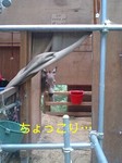 070711_1101~0001-0001.jpg