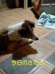 070729_1843~0001-0001.jpg