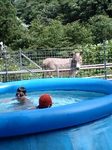 070804_1407~0002.jpg