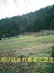 071222_1255~0001-0001.jpg
