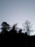080113_1659~0001.jpg