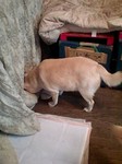 080126_1723~0001.jpg
