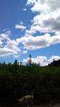 mini_100805_10490001.jpg