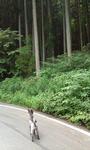 mini_100808_1221.jpg