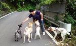mini_100810_1115.jpg